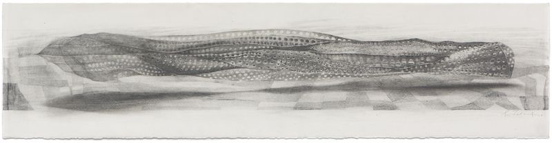 A graphite on paper drawing titled Endurance by Stephen Talasnik.