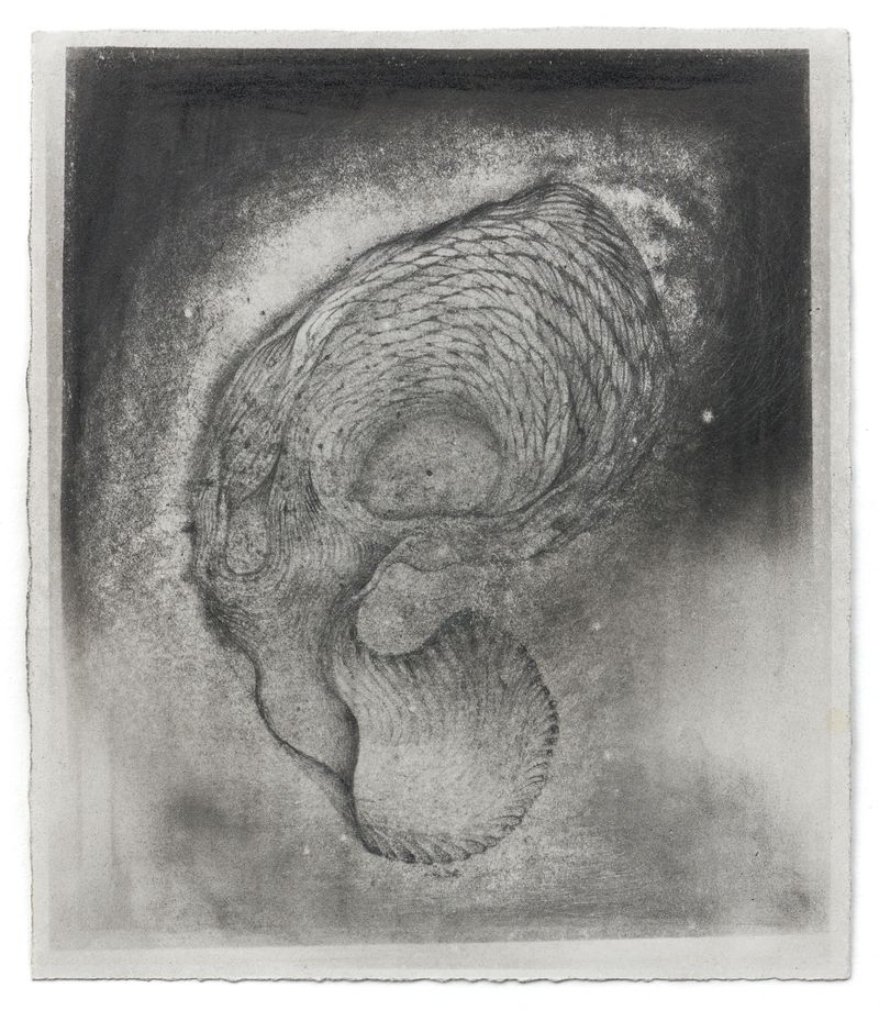 An image of a drawing from the series Mythology by Stephen Talasnik.