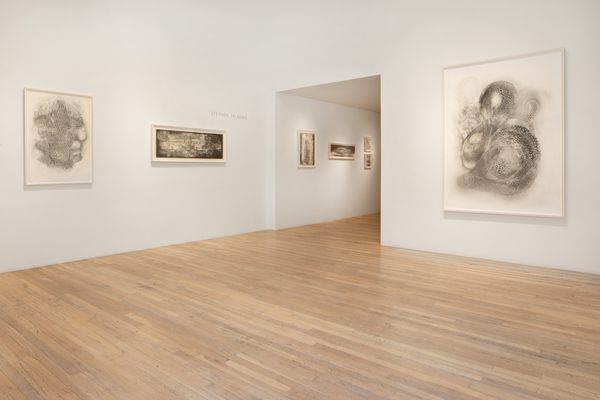An image of various drawings on display at Maya Frodeman Gallery in Jackson Hole, Wyoming as part of the exhibition of Stephen Talasnik's work titled Otherworldly: Select Drawings.