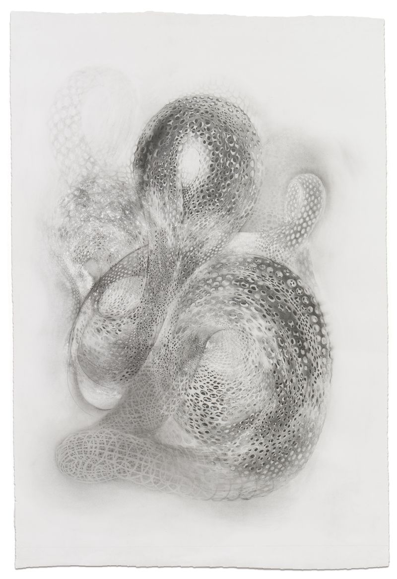 A graphite on paper drawing titled Savant by Stephen Talasnik.